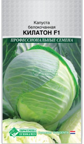 Капуста б/к Килатон F1 ЦВ/П (ЕС) 10шт позднеспелый