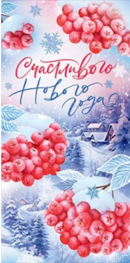 Конверт для денег С Новым годом Арт-70.344