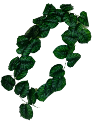 Лиана Филодендрон 200см*1шт Арт-WW-21