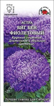 Цветы Астра Биг Бен Фиолетовая ЦВ/П (СОТКА) 0,2гр однолетник до 65см