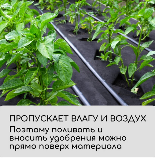 Упаковка Агротекс Чёрный Перфорированый М-80 Чёрный шир 1,6м/длина 20м