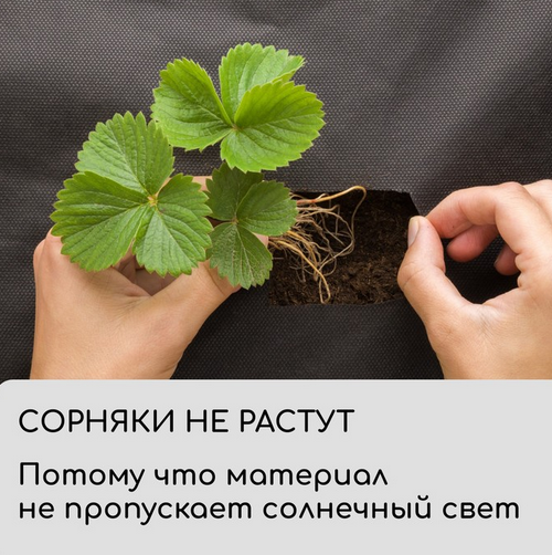 Упаковка Агротекс Чёрный Перфорированый М-80 Чёрный шир 1,6м/длина 20м