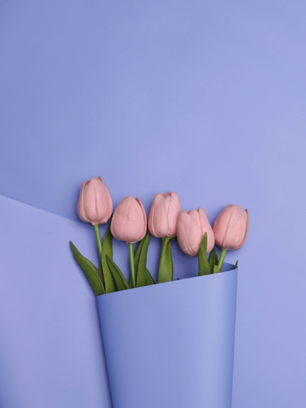 Пленка матовая однотонная Идеал Лаванда 60см/10м Пленка матовая однотонная Идеал Лаванда 60см/10м