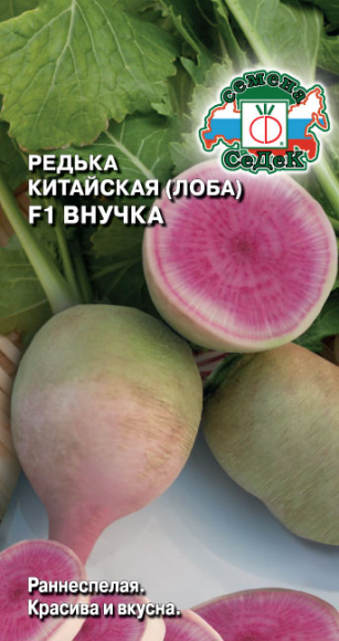 Редька Внучка F1 (Лоба) ЦВ/П (СЕДЕК) 1гр раннеспелый мякоть розовая Редька Внучка F1 (Лоба) ЦВ/П (СЕДЕК) 1гр раннеспелый мякоть розовая