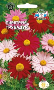 Цветы Пиретрум Трубадур ЦВ/П (СЕДЕК) 0,1гр многолетник 80см
