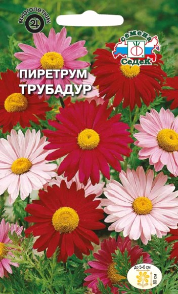 Цветы Пиретрум Трубадур ЦВ/П (СЕДЕК) 0,1гр многолетник 80см Цветы Пиретрум Трубадур ЦВ/П (СЕДЕК) 0,1гр многолетник 80см