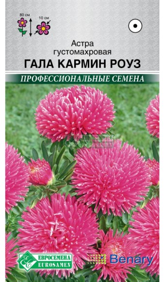 Цветы Астра Гала Кармин Роуз густомахровая ЦВ/П (ЕС) 10шт однолетник до 80см