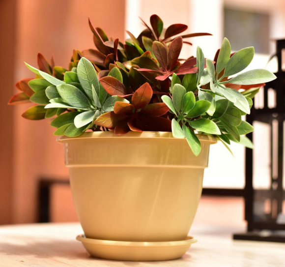 Горшок Антик 2,6лит D-19см Крем с поддоном