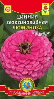 Цветы Цинния Люминоза ЦВ/П (ПЛАЗМА) ярко-розовая однолетник 70-90см
