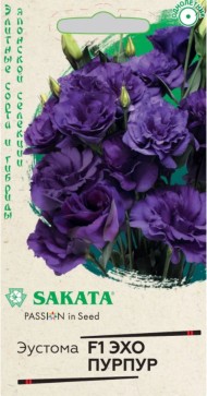 Цветы Эустома Эхо Пурпур F1 ЦВ/П (ГАВРИШ) 4шт однолетник 70см