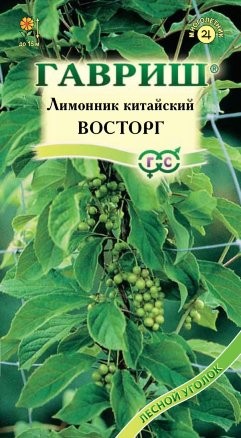 Лимонник китайский Восторг ЦВ/П (ГАВРИШ) 0,2гр лиана 2-3м