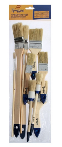 Кисть набор 10шт ТУНДРА Арт-4132610