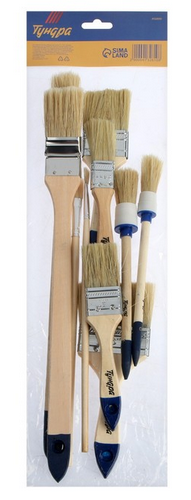 Кисть набор 10шт ТУНДРА Арт-4132610