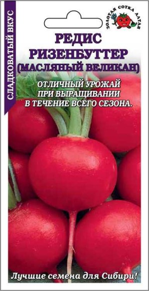 Редис Ризенбуттер ЦВ/П (СОТКА) 2гр раннеспелый