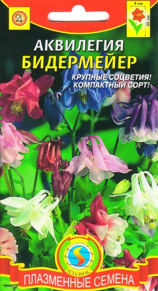 Цветы Аквилегия Бидермайер смесь ЦВ/П (ПЛАЗМА) многолетник до 40см