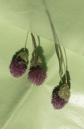 Бумага листами Тишью 50*66см Жемчужная Фисташковая (1уп/10шт) ЦЕНА за лист