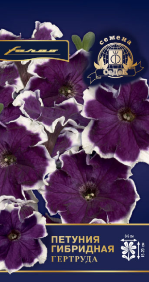 Цветы Петуния Гертруда F1 ЦВ/П (СЕДЕК) 5шт однолетник 15-20см