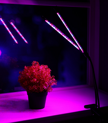Фитолампа светодиодная 250мм 18вт USB биколорный/прищепка/с таймером Арт-7013635