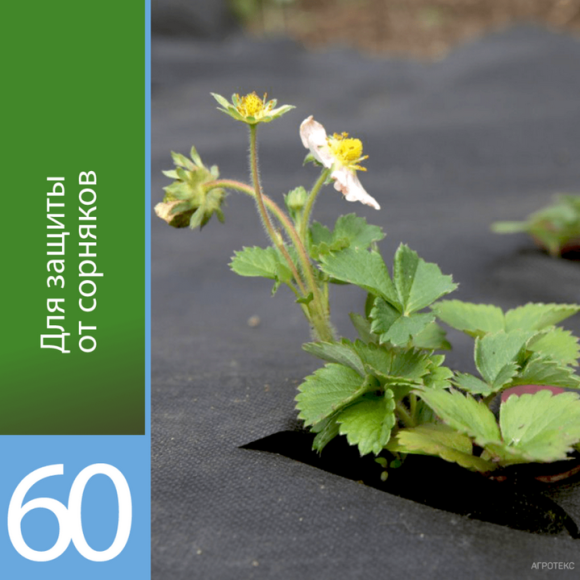 Рулон Агротекс Чёрный М-60 ширина 3,2м * 25метров Рулон Агротекс Чёрный М-60 ширина 3,2м * 25метров