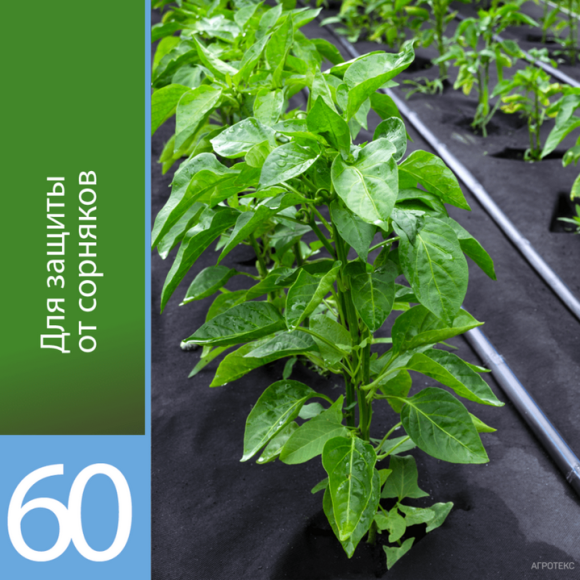 Рулон Агротекс Чёрный М-60 ширина 3,2м * 25метров Рулон Агротекс Чёрный М-60 ширина 3,2м * 25метров