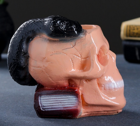 Подставка под мелочи Череп со змеёй Чёрная с серебром Арт-4012676