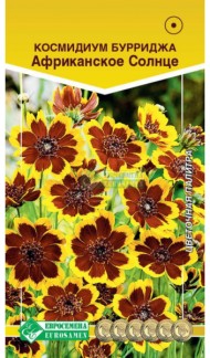 Цветы Космидиум Бурриджа Африканское Солнце ЦВ/П (ЕС) 10шт однолетник 50см
