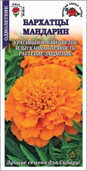 Цветы Бархатцы Мандарин ЦВ/П (СОТКА) 0,2гр однолетник 20-25см