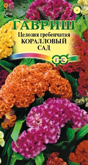 Цветы Целозия гребенчатая Коралловый сад ЦВ/П (ГАВРИШ) 0,2гр однолетник сухоцвет 20-30см