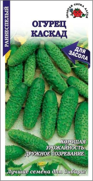 Огурец Каскад ЦВ/П (СОТКА) 0,5гр раннеспелый