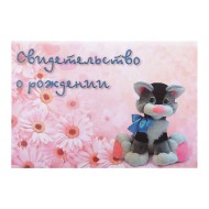 Обложка на Свидетельство о рождении Кот А 5