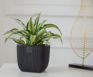 Горшок Фабио 1,95лит Чёрный 14х14 х14см (с дренажной системой)