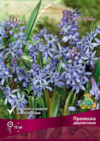 Пролеска двулистная (1уп/10шт)