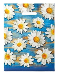 Сумочка пакет п/э 300*400мм Полли Арт-40566