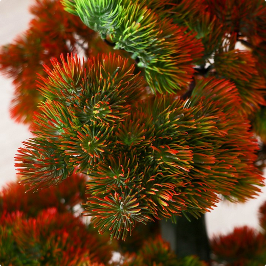 Дерево искусственное Бонсай Кабудати 70см Арт-7559466 Дерево искусственное Бонсай Кабудати 70см Арт-7559466