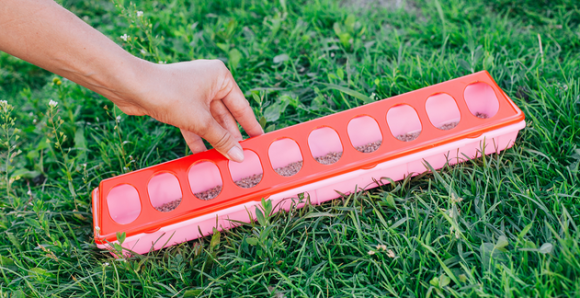 Кормушка для цыплят и перепелов 20 ячеек Арт-3593427