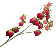 Физалис 3 ветки 115см БОРДОВЫЙ Физалис 3 ветки 115см БОРДОВЫЙ