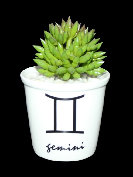 Цветы в вазоне керамич Кактус со знаком зодиака 10см Цветы в вазоне керамич Кактус со знаком зодиака 10см