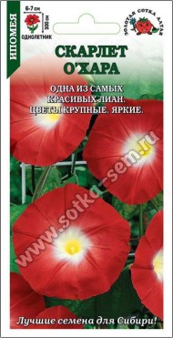 Цветы Ипомея Скарлет О*Хара ЦВ/П (СОТКА) 0,5гр однолетник до 3м