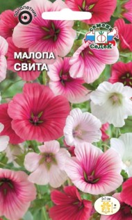 Цветы Малопа Свита Смесь ЦВ/П (СЕДЕК) 0,5гр однолетник 1м