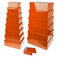 Коробка Подарочная цвета Микс №14 L53см W41,5см H18см