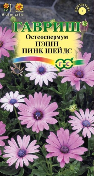 Цветы Остеоспермум Пэшн Пинк ЦВ/П (ГАВРИШ) 3шт однолетник 15-25см