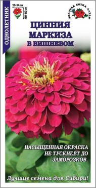 Цветы Цинния Маркиза в Вишневом ЦВ/П (СОТКА) 0,2гр однолетник 70-90см
