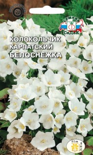 Цветы Колокольчик Белоснежка карпатский ЦВ (СЕДЕК) 0,1гр многолетник 25-30см