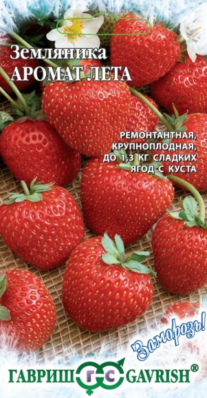 Земляника Аромат лета ЦВ/П (ГАВРИШ) 4шт ранний ремонтантный
