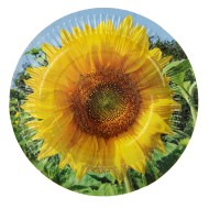 Тарелка бумажная Подсолнух (1уп/6шт) D-18см 1134987