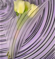 Пленка Листами Гипноз Чёрно-Сиреневая 58/58см (1уп/20шт) Цена за 1ЛИСТ