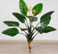 Дерево искусственное Стрелиция 85см Арт-4444939