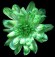 Краска для срезанных цветов 300мл Зеленая Арт-8601В