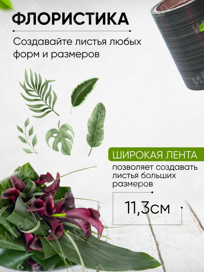 Лента Аспидистр 12см*10ярд РОССИЯ Лента Аспидистр 12см*10ярд РОССИЯ