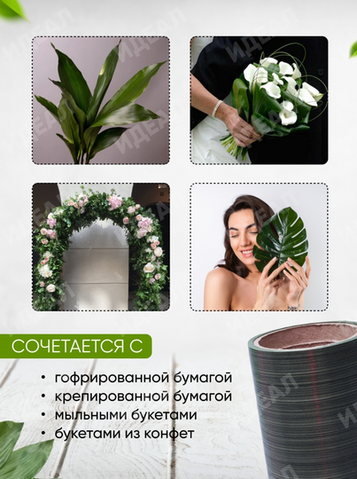 Лента Аспидистр 12см*10ярд РОССИЯ Лента Аспидистр 12см*10ярд РОССИЯ